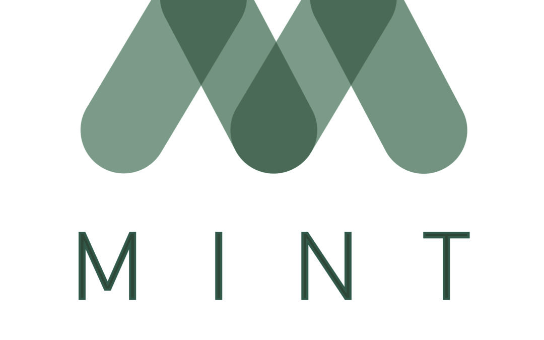 Mint Insurance Brokers Ltd