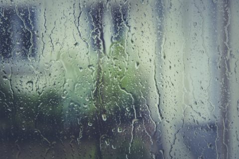 Awaab's Law government guidance published - Scottish Association of ...